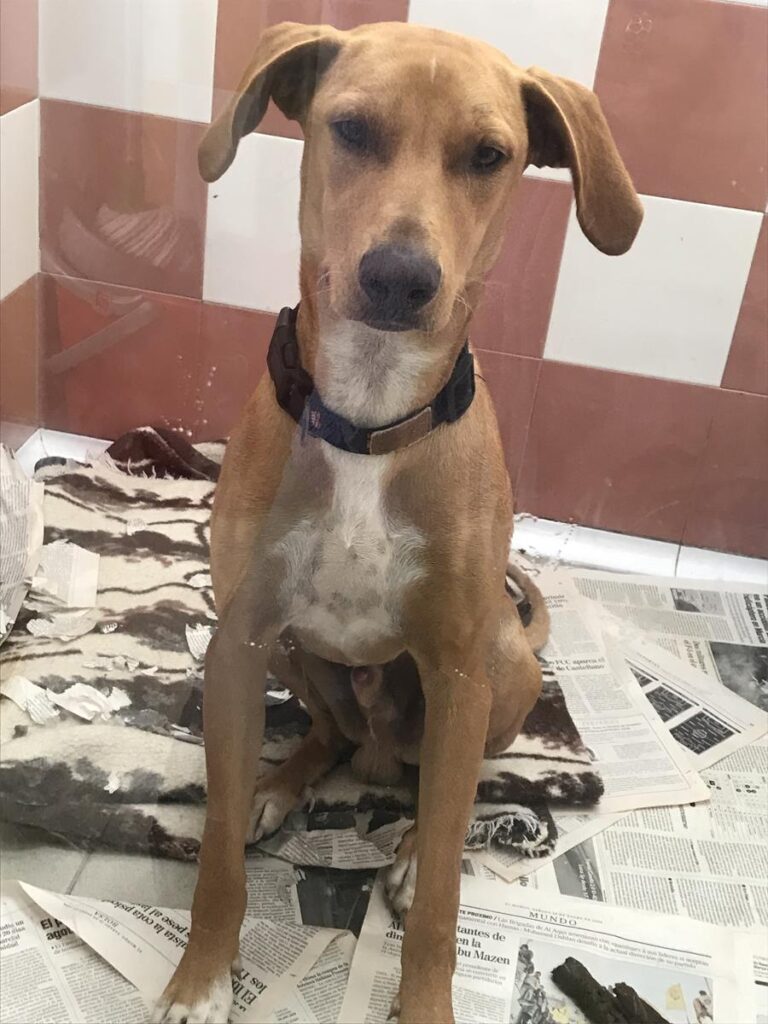 multimedia-foto66727-389-1