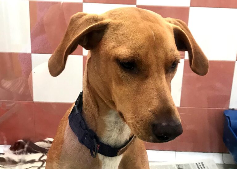 multimedia-foto66728-389-1