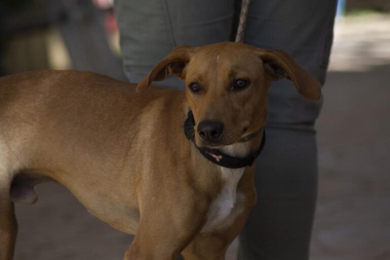 multimedia-foto66730-391-1