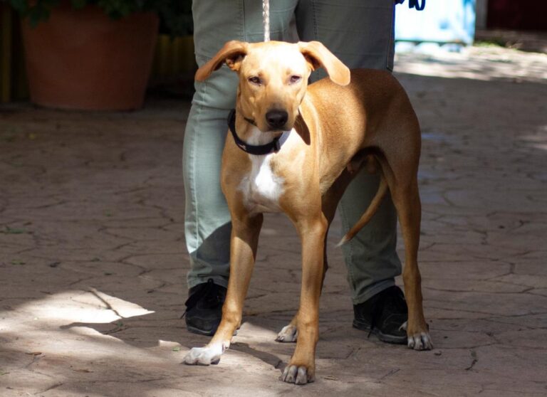 multimedia-foto66731-391-1