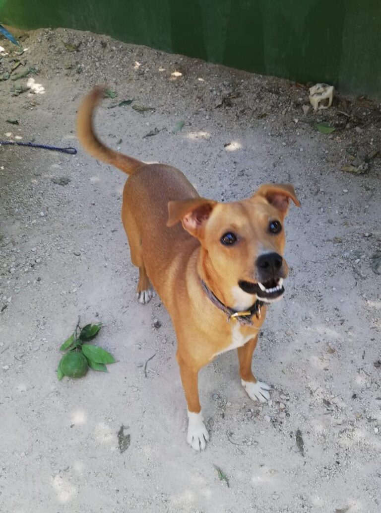 multimedia-foto66737-967-1