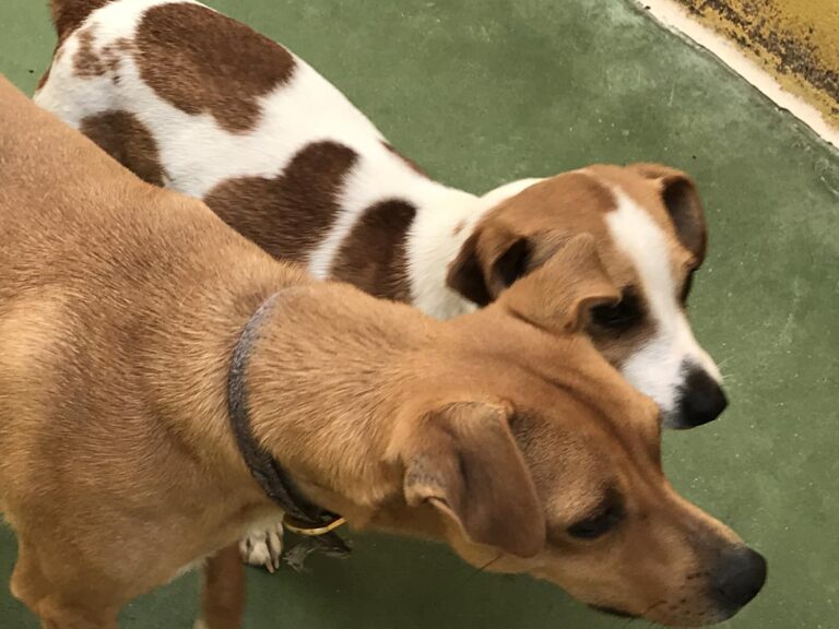 multimedia-foto66738-968-1