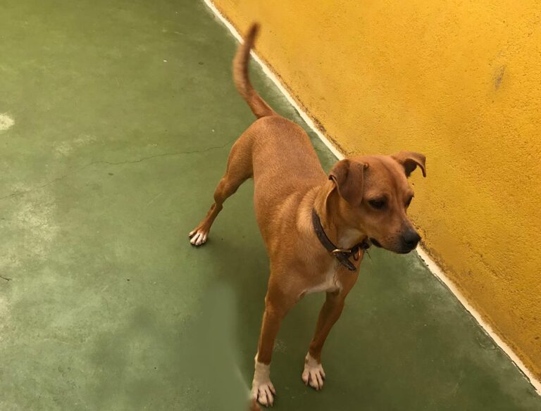 multimedia-foto66739-968-1