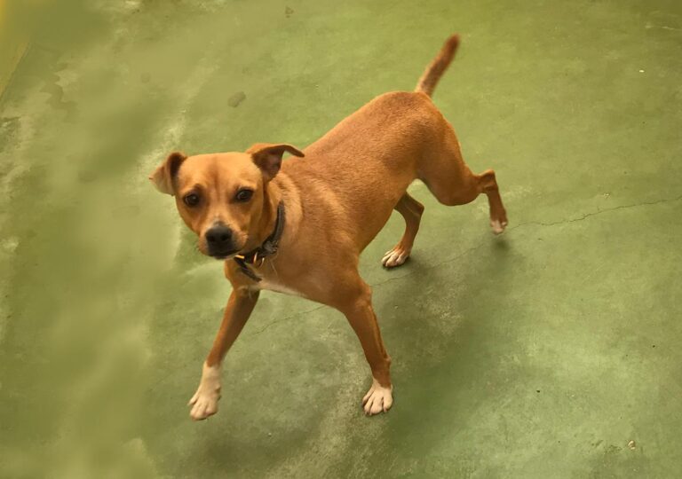 multimedia-foto66740-969-1