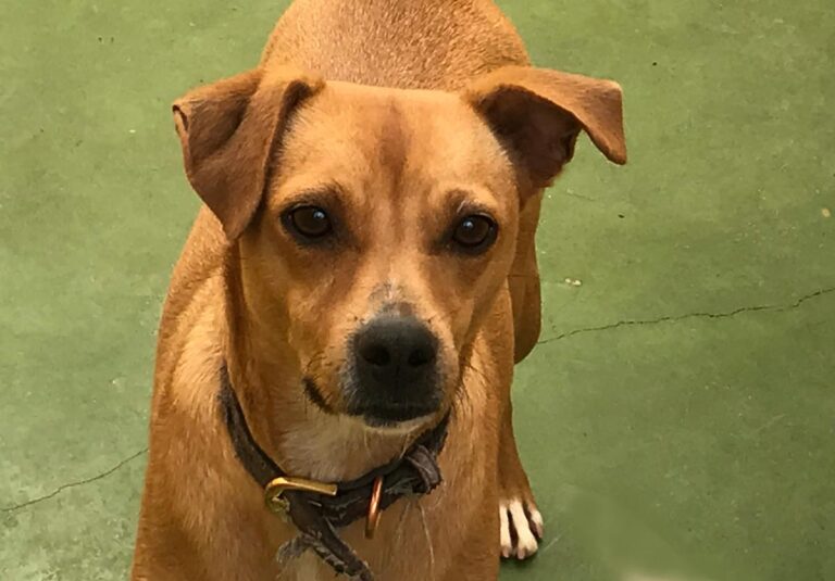 multimedia-foto66741-970-1