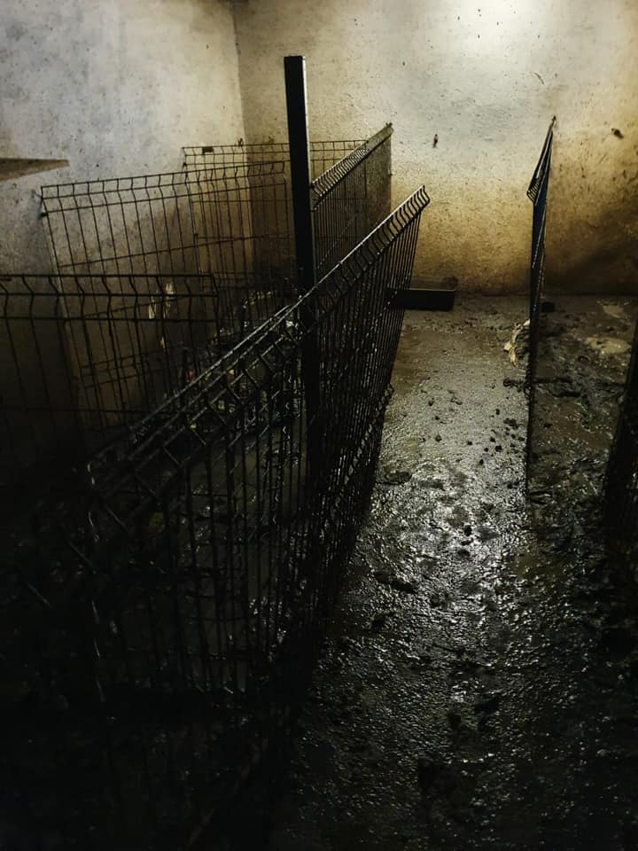 multimedia-foto66836-641-1