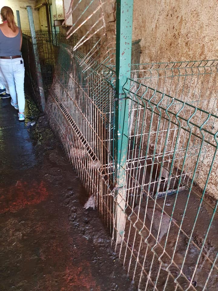 multimedia-foto66837-641-1