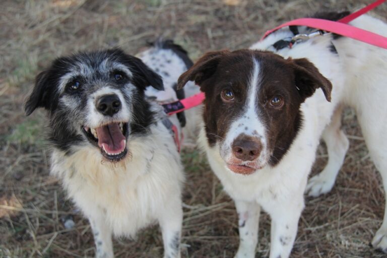 multimedia-foto66838-642-1