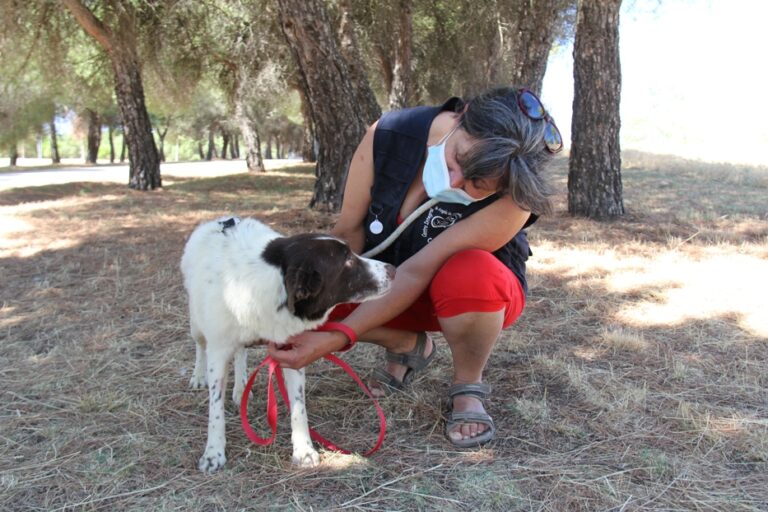 multimedia-foto66839-642-1