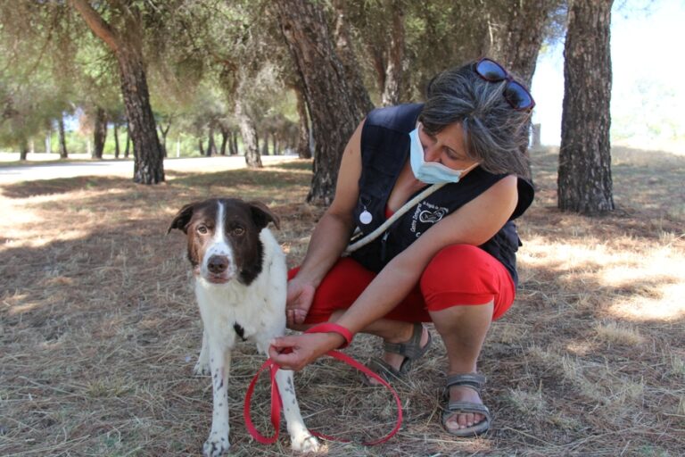 multimedia-foto66840-643-1