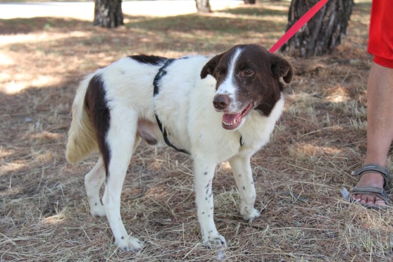 multimedia-foto66841-643-1