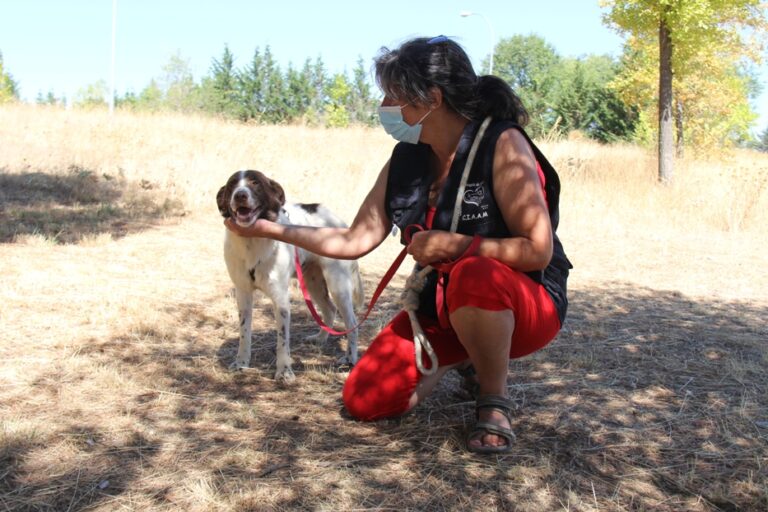 multimedia-foto66842-644-1