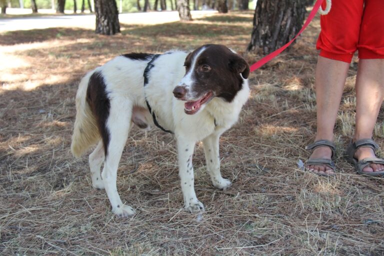 multimedia-foto66843-645-1