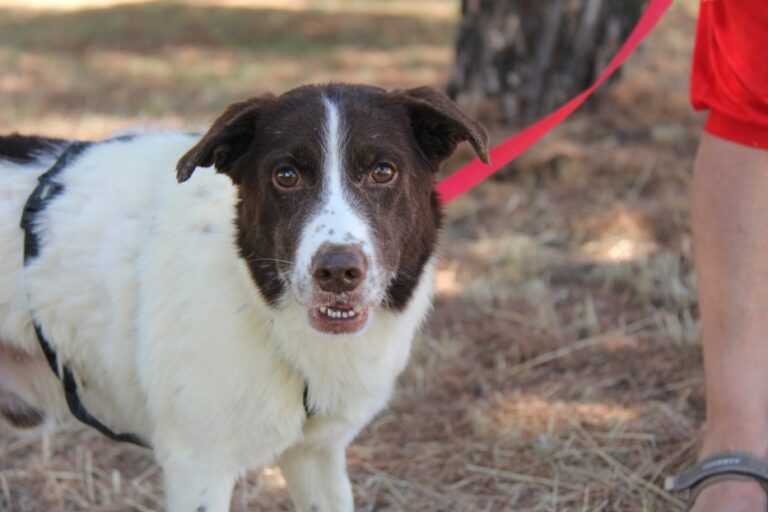 multimedia-foto66844-645-1