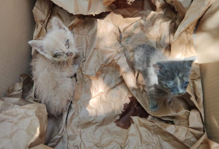 multimedia-foto66880-180-1