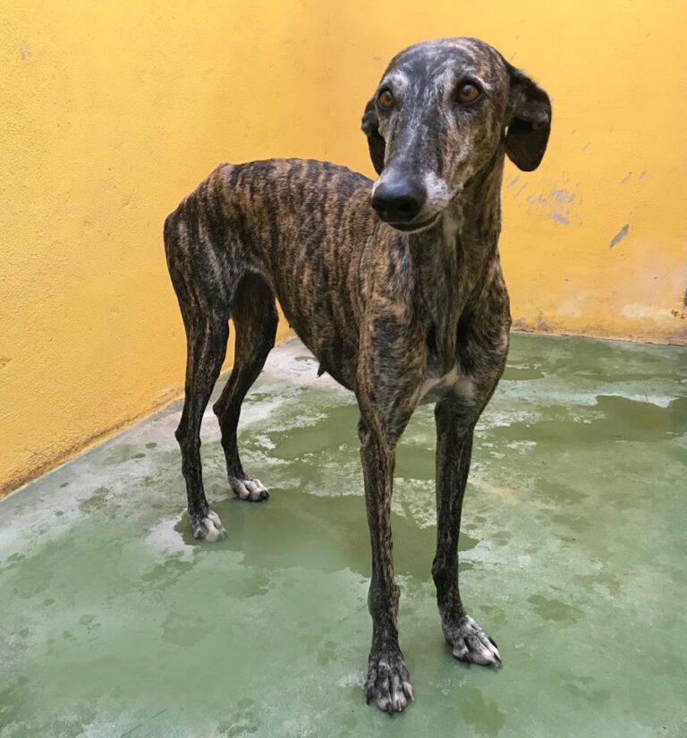 multimedia-foto66901-640-1