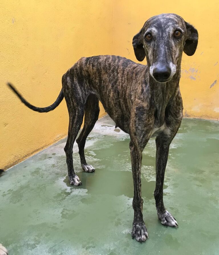 multimedia-foto66902-641-1