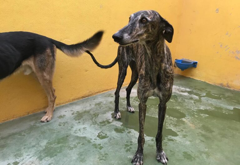 multimedia-foto66903-641-1