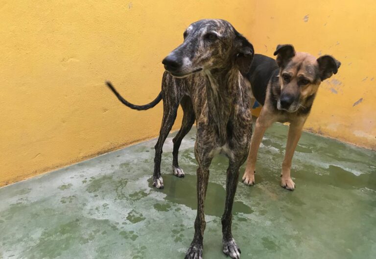 multimedia-foto66904-642-1