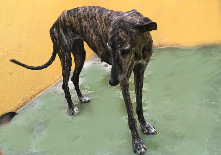 multimedia-foto66905-643-1