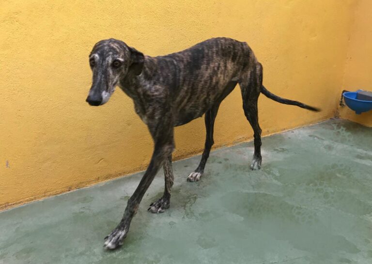 multimedia-foto66906-643-1