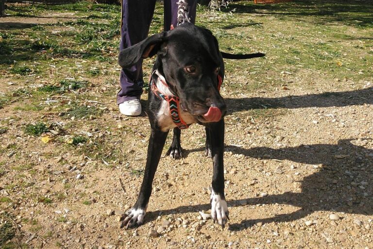 multimedia-foto66907-423-1