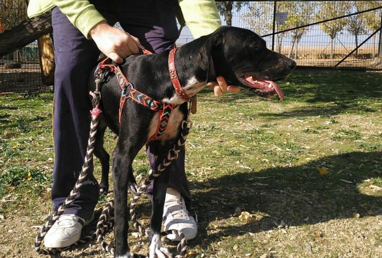 multimedia-foto66908-423-1