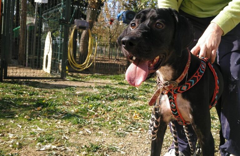 multimedia-foto66909-424-1