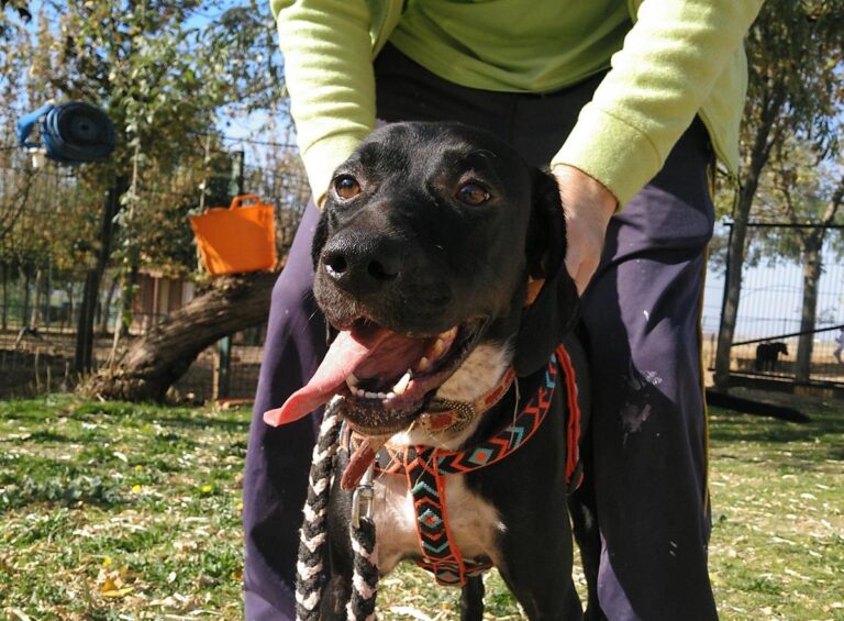 multimedia-foto66911-425-1