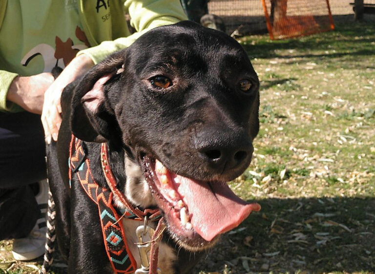 multimedia-foto66912-426-1