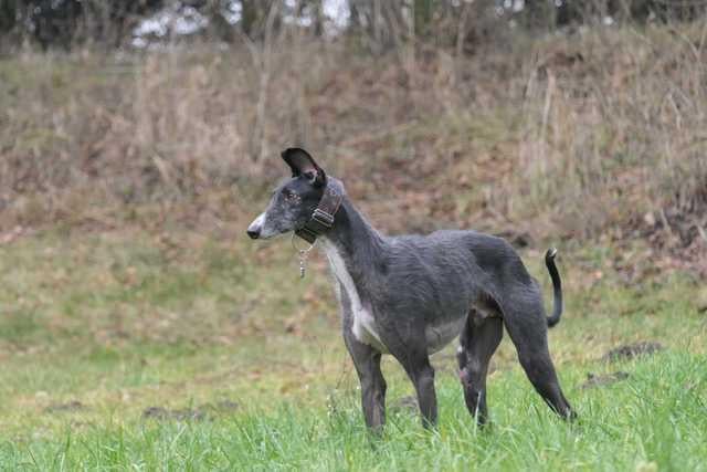 multimedia-foto66915-734-1