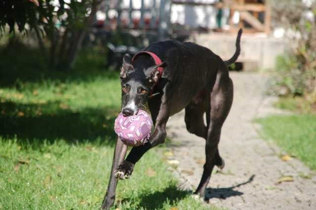 multimedia-foto66916-734-1