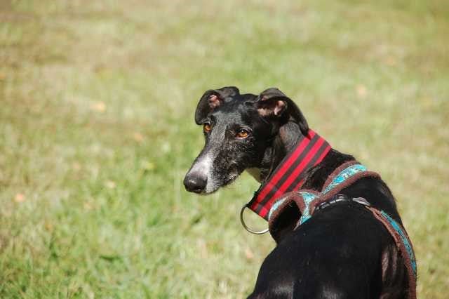 multimedia-foto66917-734-1