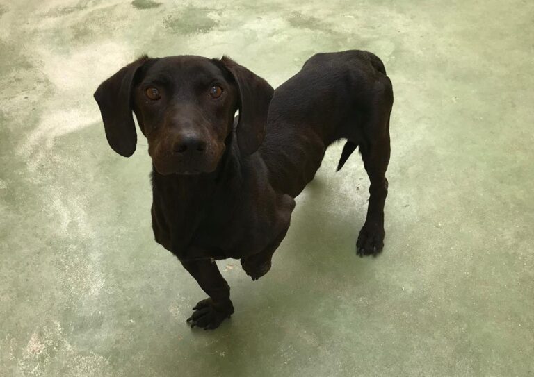 multimedia-foto66926-461-1