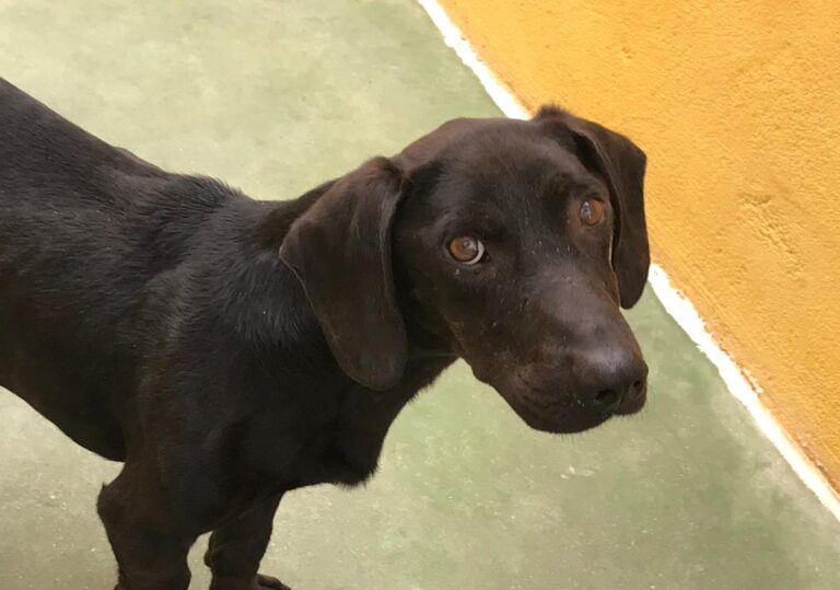 multimedia-foto66927-462-1