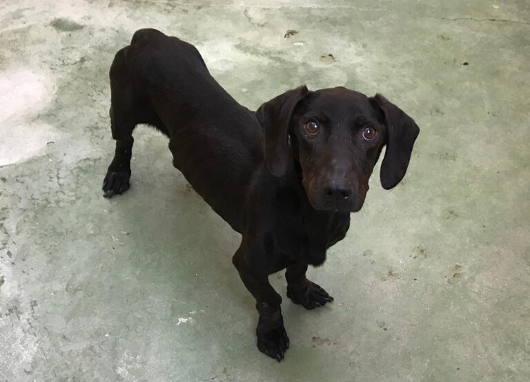 multimedia-foto66928-463-1