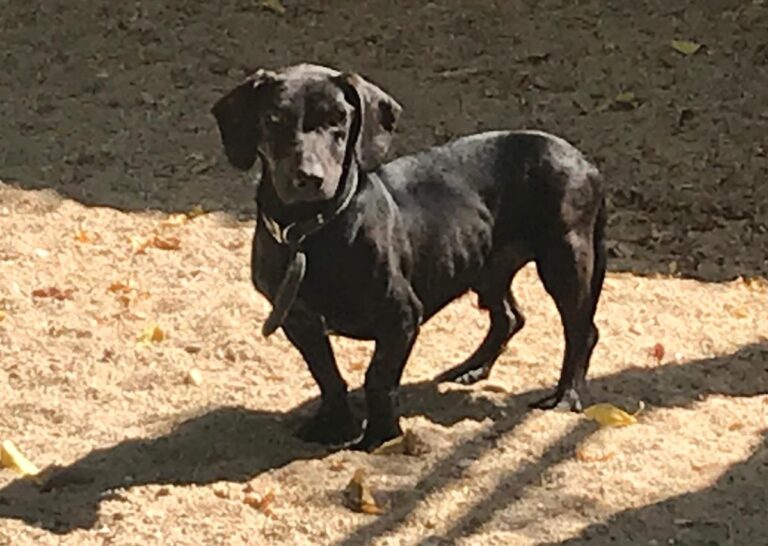 multimedia-foto66929-463-1