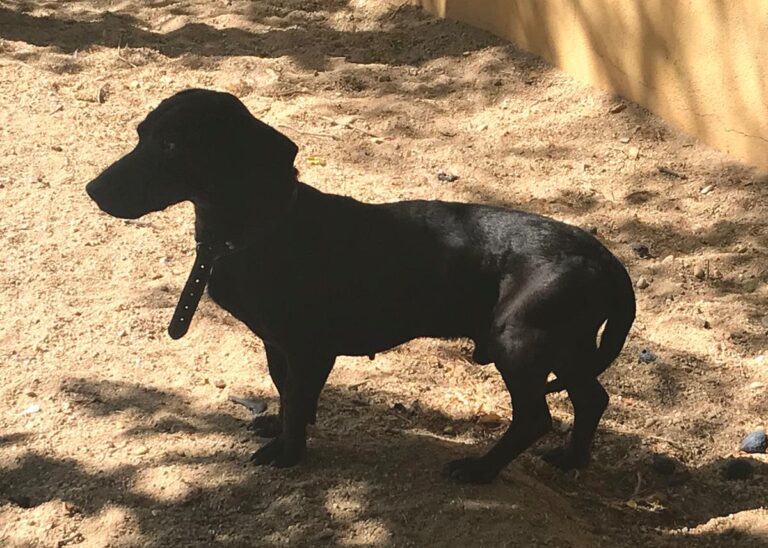 multimedia-foto66931-464-1