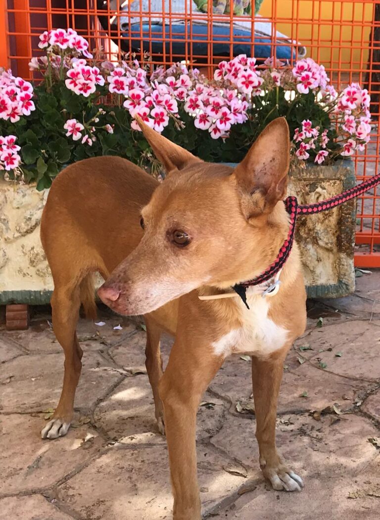 multimedia-foto66932-636-1