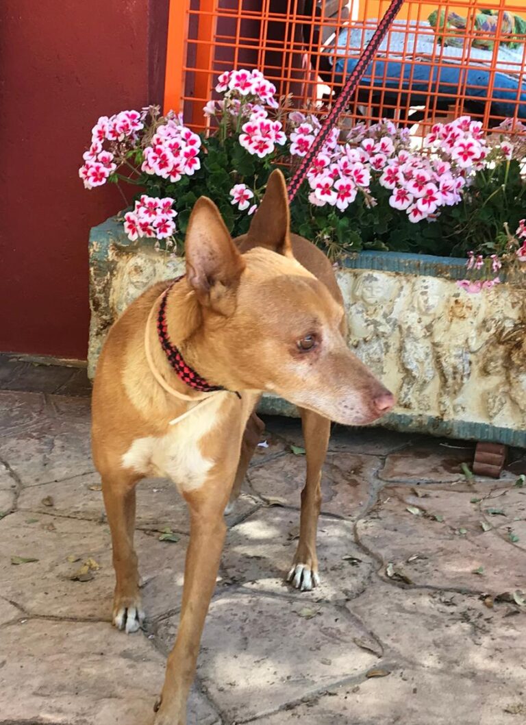 multimedia-foto66933-637-1