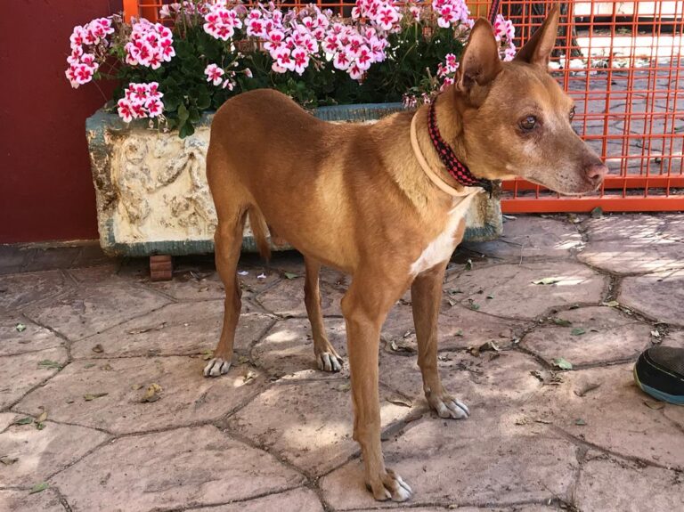 multimedia-foto66934-638-1