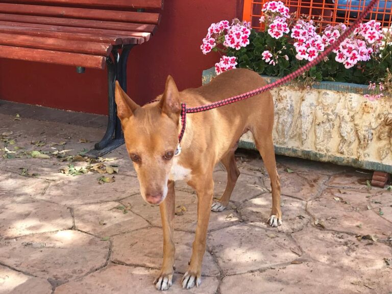 multimedia-foto66935-638-1