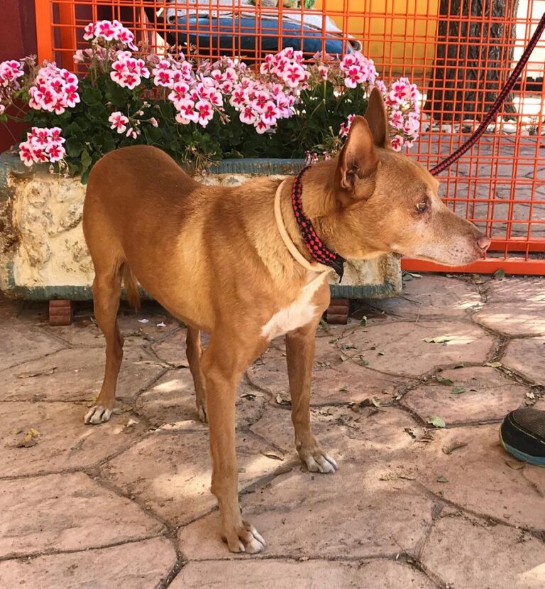 multimedia-foto66936-639-1