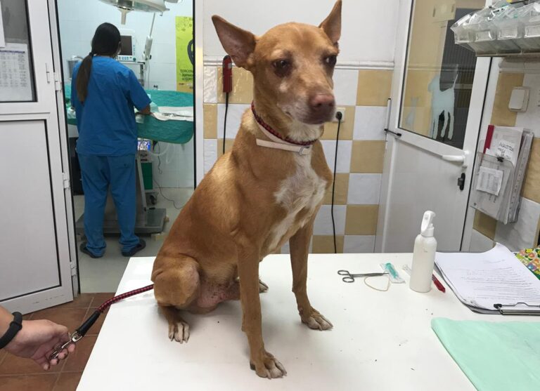 multimedia-foto66937-639-1