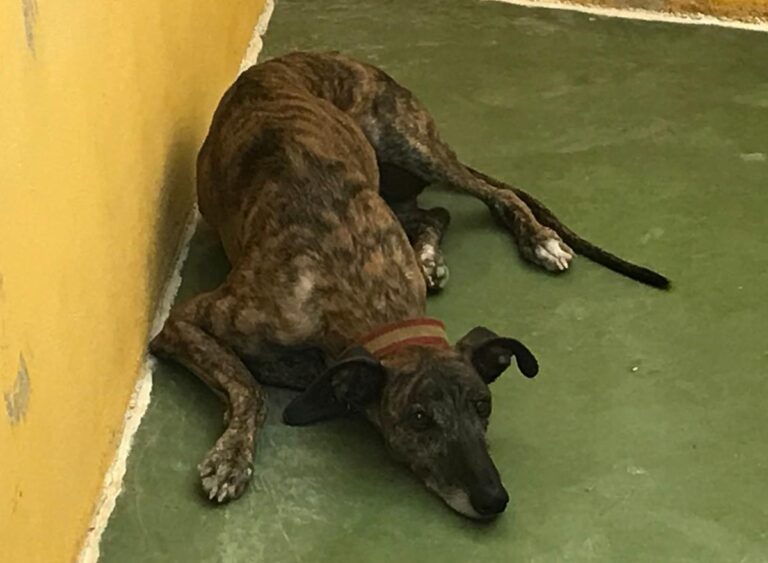 multimedia-foto66940-859-1