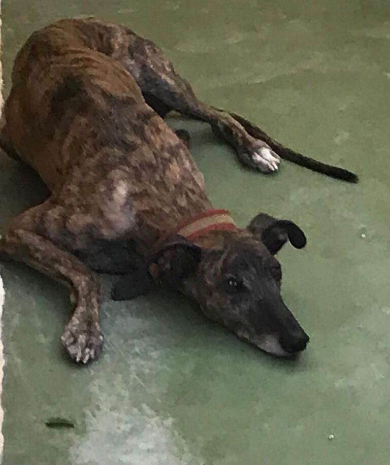 multimedia-foto66942-860-1