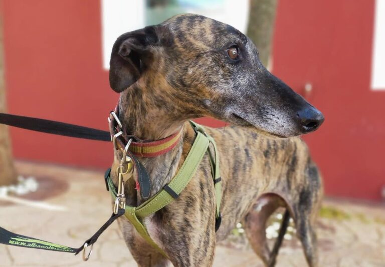 multimedia-foto66943-861-1