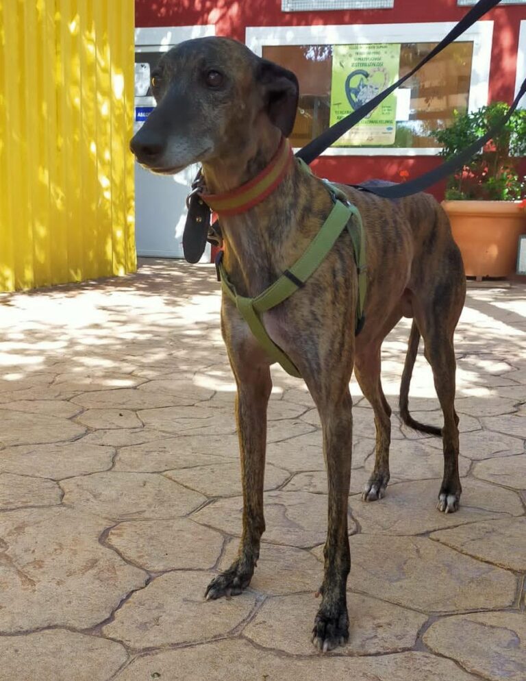 multimedia-foto66945-862-1