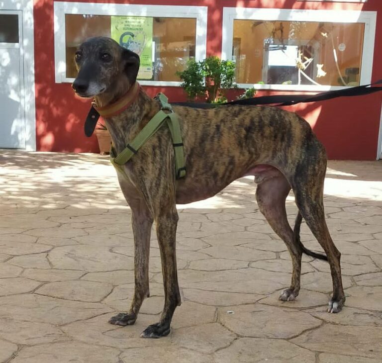 multimedia-foto66946-862-1