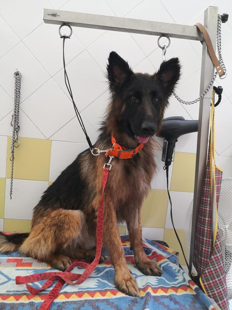 multimedia-foto66955-913-1